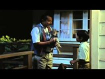 何時の間にか上映されてたっ！